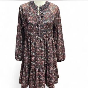 American Eagle Outfitters Long Sleeves Babydoll Ruffle Floral Dress